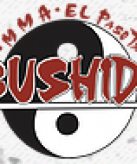 Bushido MMA and BJJ Training Facility