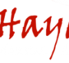 Hayashi’s Martial Arts Academy