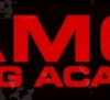 Ramos Boxing Academy