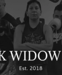 Black Widow MMA