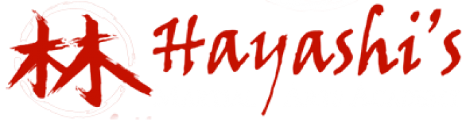 Hayashi&#8217;s Martial Arts Academy